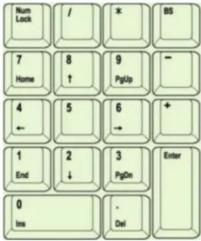 Num Lock / * BS 7 Home 8 ↑ 9 PgUp - 4 ← 5 6 → + 1 End 2 ↓ 3 PgDn Enter 0 Ins . Del