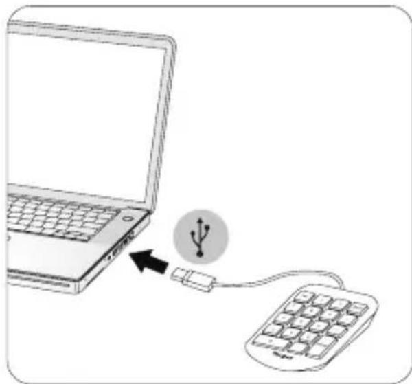 TARGUS AKP10CA - Connexion du pavé numérique à votre ordinateur - 1