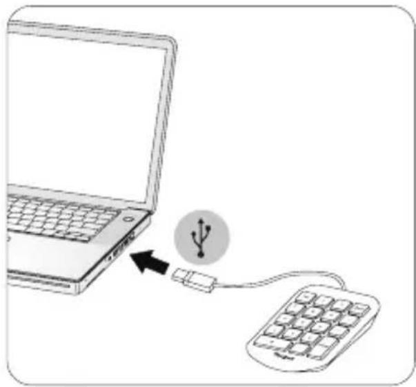 TARGUS AKP10CA - Connecting the Device to Your Computer - 1