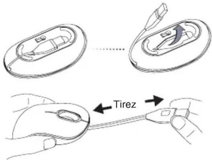 TARGUS AMU76CA - Cordon rétractable - 1