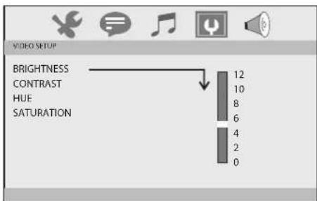 Sunstech DLPM790 - Video Setup Page - 1
