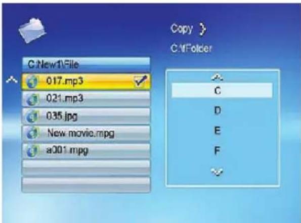 BRAUN DigiFrame 1560 - Copiaré i file - 2