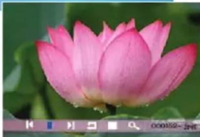 BRAUN DigiFrame 1560 - Using mixed files - 2
