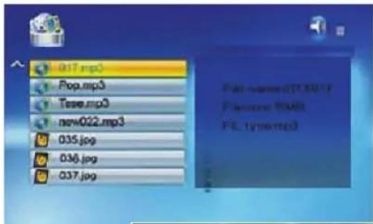 BRAUN DigiFrame 1560 - Utilizzare file misti - 1