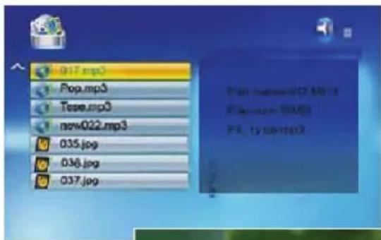 BRAUN DigiFrame 1560 - Using mixed files - 1