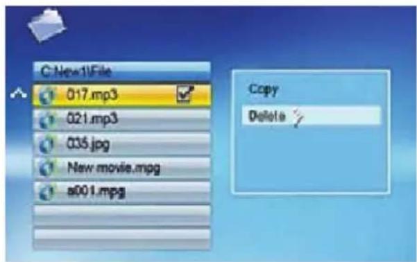 BRAUN DigiFrame 1560 - Deleting files - 1