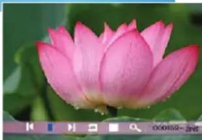 BRAUN DigiFrame 1560 - Gemischte Dateien verwenden - 2