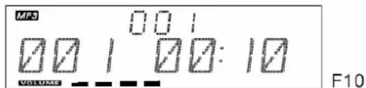SEG MS 1031 - Playing the Entire flash disc - 1