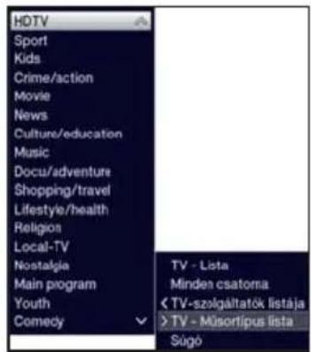 TECHNISAT TechniVision 22 HD - Lista kivalasztasa - 1