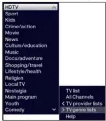 TECHNISAT TechniVision 22 HD - Selecting a list - 1