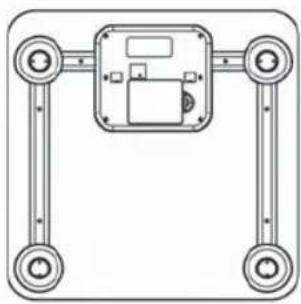 TERRAILLON Fitness Coach Initial - SOLO PESAJE - 1
