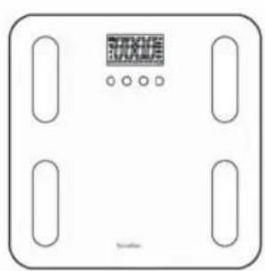 TERRAILLON Fitness Coach Initial - PRODUCT DESCRIPTION - 1