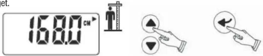 TERRAILLON Fitness Coach Initial - Angiv højde - 1