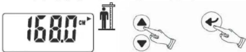 TERRAILLON Fitness Coach Initial - Set Height - 1