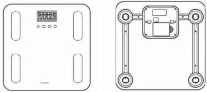 TERRAILLON Fitness Coach Initial - PRODUKTBESKRIVNING - 1