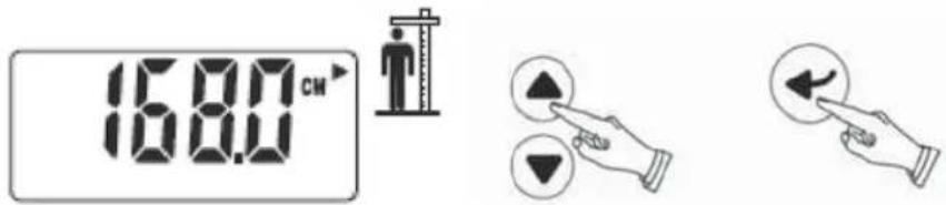 TERRAILLON Fitness Coach Initial - Réglage de la taille - 1