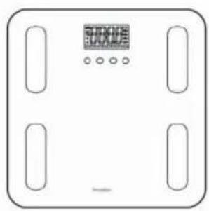 TERRAILLON Fitness Coach Initial - DESCRIPCIÓN DEL PRODUCTO - 1