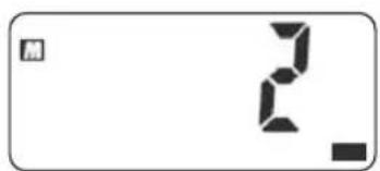 TERRAILLON Fitness Coach Initial - Select Memory Location - 1