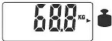 TERRAILLON Fitness Coach Initial - ANVÄNDNING - 3