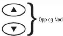 TERRAILLON Fitness Coach Initial - FÖR ATT RADERA MINNE - 3