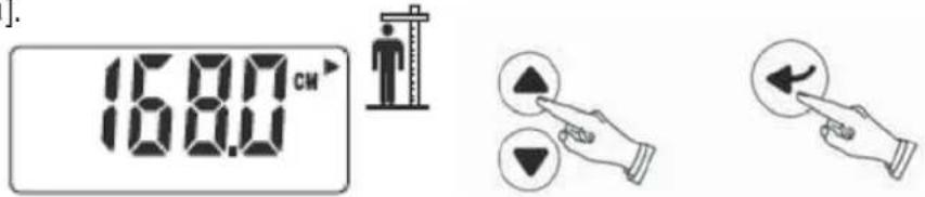 TERRAILLON Fitness Coach Initial - Größe einstellen - 1