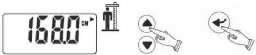 TERRAILLON Fitness Coach Initial - Anna pituus - 1