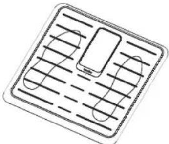 TERRAILLON Fitness Coach Premium - FONCTIONNEMENT - 1
