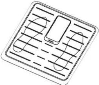 TERRAILLON Fitness Coach Premium - HANDHAVANDE - 1