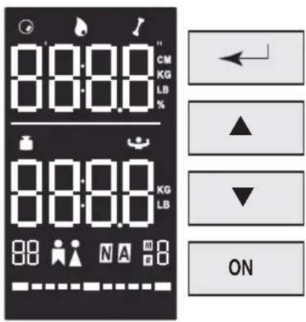 TERRAILLON Fitness Coach Premium - LCD DISPLAY & FUNCTION KEYS - 1
