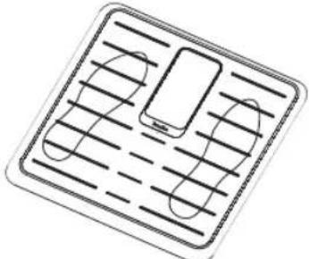 TERRAILLON Fitness Coach Premium - MANUSEAMENTO - 1