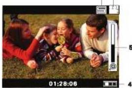 MEMOREX MyVideo - LCD Monitor Information - 1
