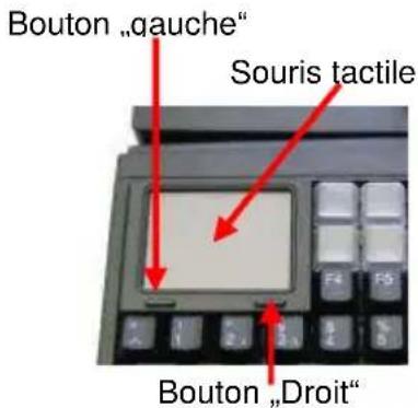PrehKeyTec MCI 3100 - Souris tactile - 2
