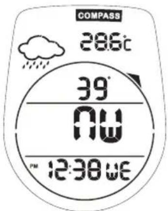 OREGON SCIENTIFIC GP123 - ABOUT THE COMPASS - 1