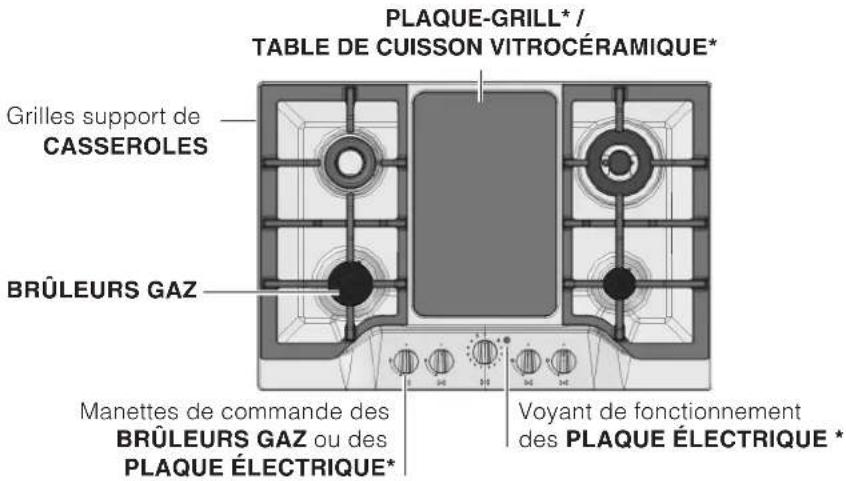 SCHOLTES TG 641 GH IX - Description de l'appareil - 2