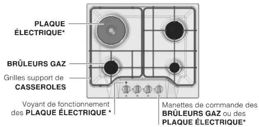 SCHOLTES TG 641 GH IX - Description de l'appareil - 1