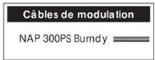 NAIM NAP 155 XS - Raccordements entre le NAP 300 et le NAP 300PS - 5