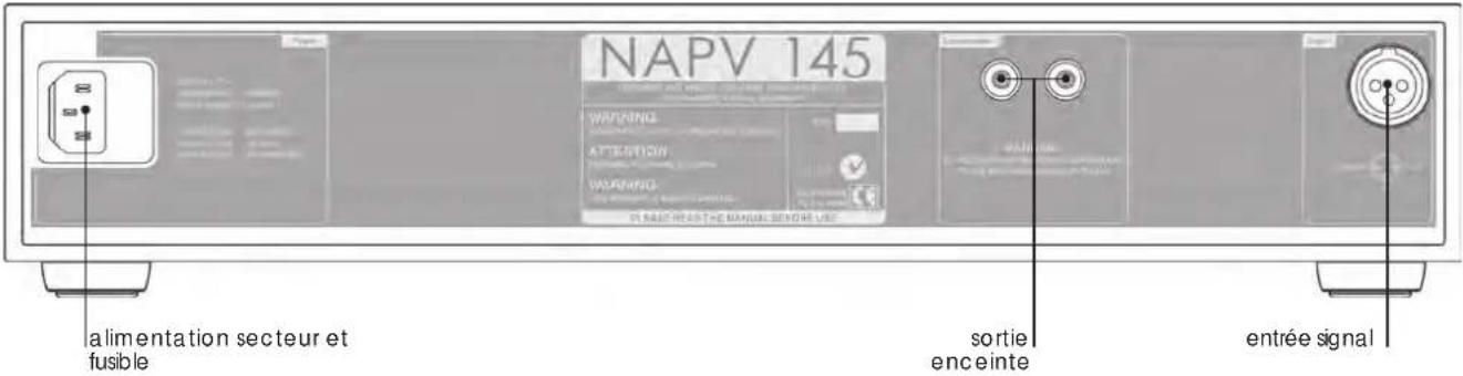 NAIM NAP 155 XS - Cables et prises d'enceintes - 1