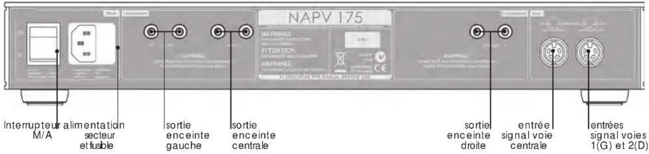 NAIM NAP 155 XS - Cables et prises d'enceintes - 1