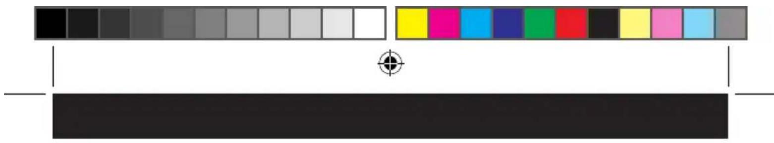 TAURUS Professional 4L - Anomalie e riparazioni - 4