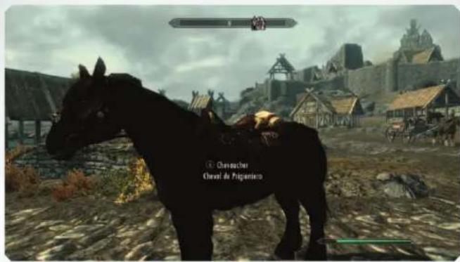 Bethesda The Elder Scrolls V: Skyrim Dawnguard (PC) - CHEVAUX, MAISONS, LIVRES ET CONTENANTS - 1