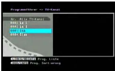 SEG VP118 - TV Channels (Fernsehsender) - 1