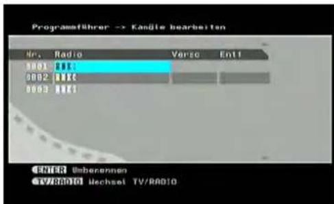 SEG VP118 - Radio Channels (Radiosender) - 2