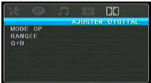 SEG VP118 - 5) DIGITAL SETUP (CONFIGURATION NUMÉRIQUE) - 1