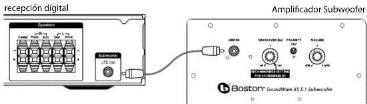 BOSTON ACOUSTICS SoundWare XS 5.1 - Conexiones del subwoofer - 1