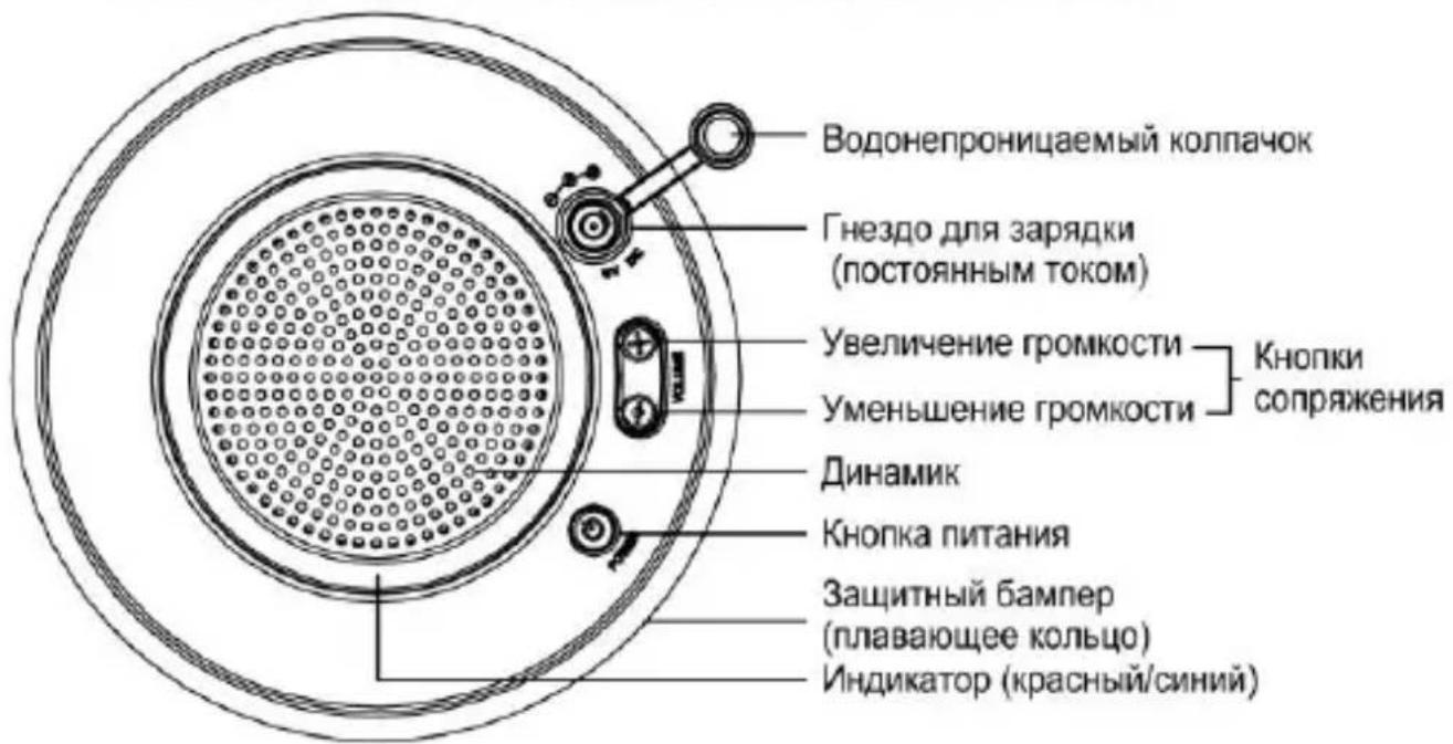 CONCEPTRONIC CLLWAPROSPKBL - Историческая п rodents Кто? - 1