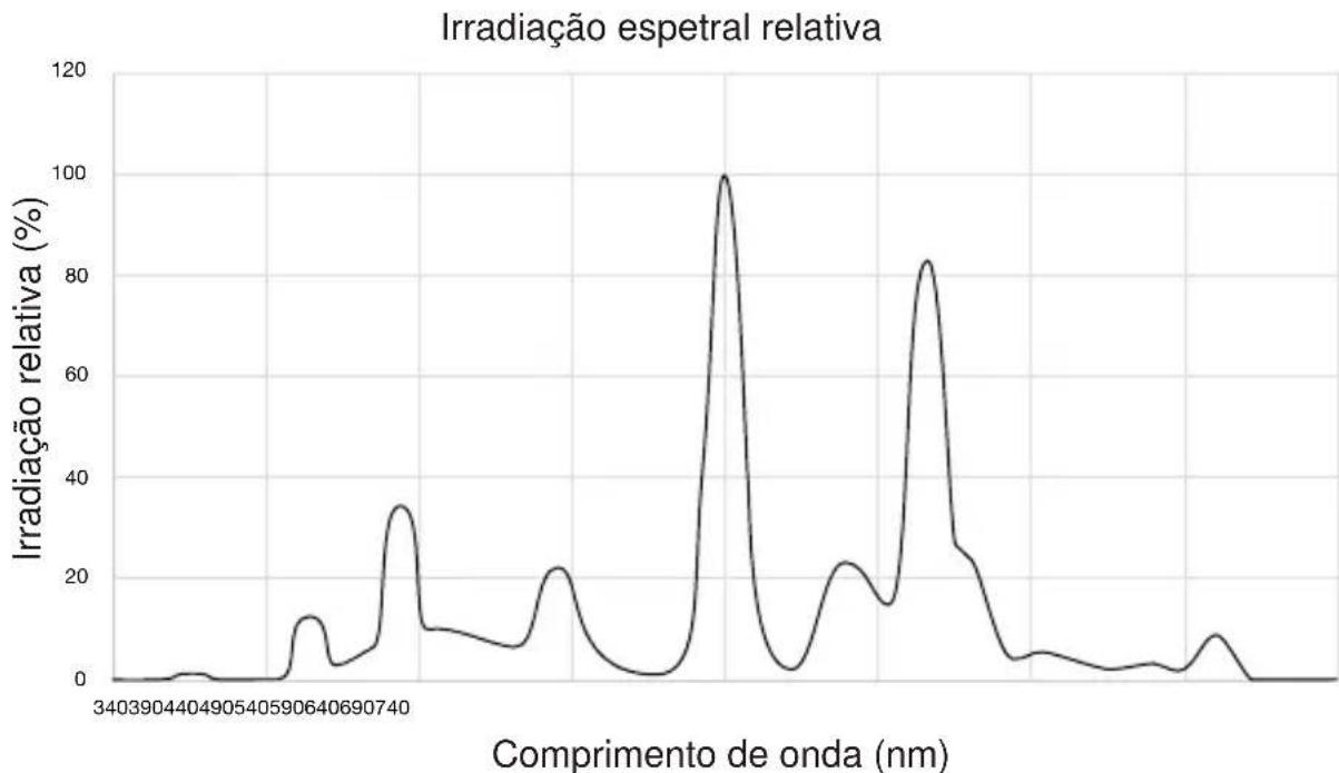 LUMIE Brazil - Lumie Brazil - 1