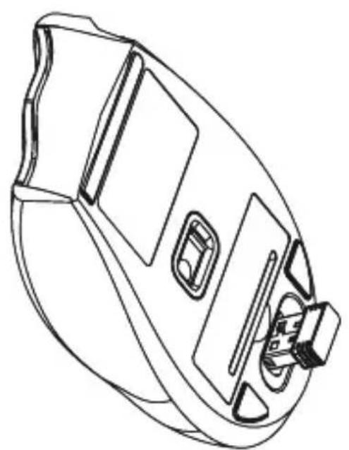 Soyntec Inpput R5 - INFORMATION D'UTILISATION - 1