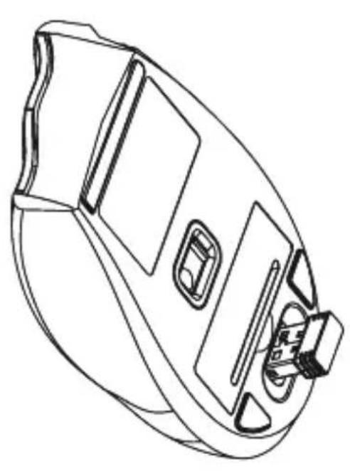 Soyntec Inpput R5 - USE INFORMATION - 1