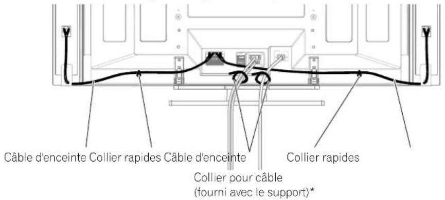 PIONEER PDP506XDE - Cheminement des câbles - 1