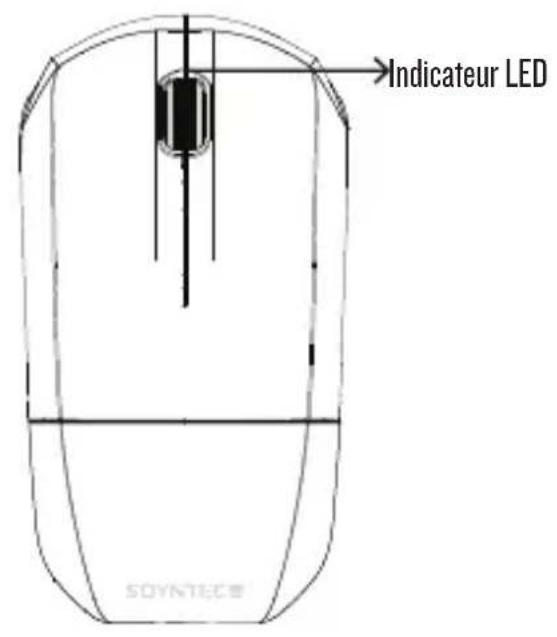 Soyntec Inpput R6 Traveller - Installation - 1
